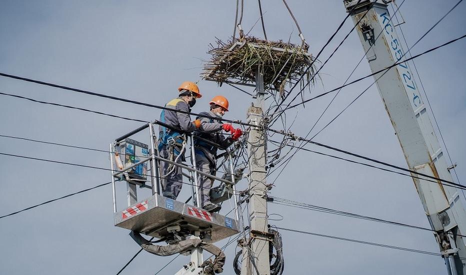 proyekt-lelechenki-za-uchasti-dtek-odeski-elektromerezhi-peremig-u-mizhnarodniy-premiji-z-pr-1