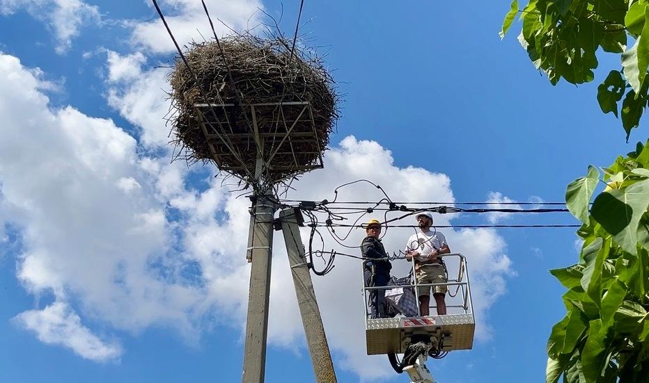 mizhnarodna-spivpracya-energetiki-dtek-odeski-elektromerezhi-dopomogli-ornitologam-okilcyuvati-50-ptashenyat-bilogo-leleki-1