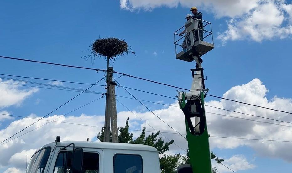 mizhnarodna-spivpracya-energetiki-dtek-odeski-elektromerezhi-dopomogli-ornitologam-okilcyuvati-50-ptashenyat-bilogo-leleki-6