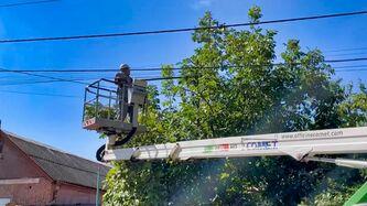 dlya-zapobigannya-avariyam-dtek-odeski-elektromerezhi-rozchistit-vid-gilok-ponad-2-tisyachi-kilometriv-elektroliniy-u-2024-roci