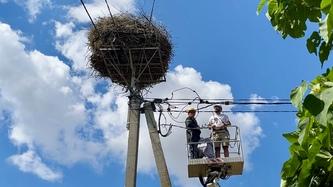ekologichni-iniciativi-dtek-odeski-elektromerezhi-pidpriyemstvo-prodovzhuye-zelenu-transformaciyu